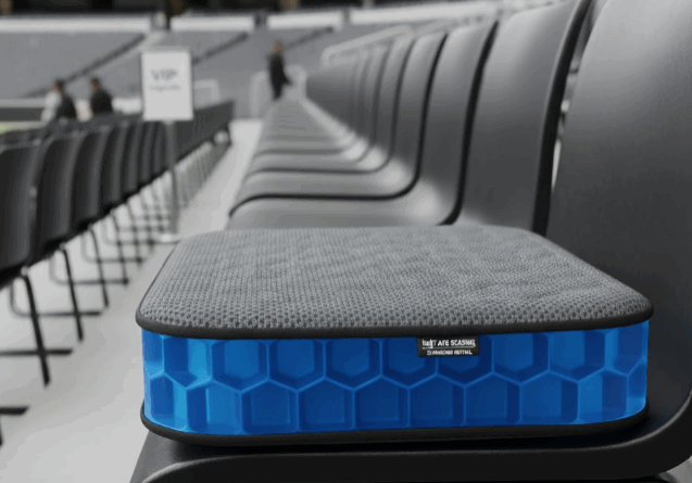 Final Premium SAS cushion image